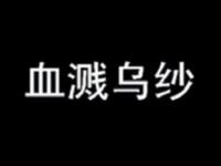 豫剧【血溅乌纱】河南省豫剧院演出MP4戏曲视频下载