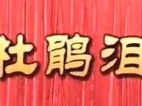 莆仙戏【杜鹃泪】全剧 二团演出高清戏曲视频下载