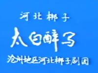 河北梆子【太白醉写】沧州地区河北梆子剧团演出高清戏曲视频下载